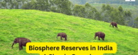 Biosphere Reserves in India: A Simple Overview